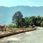 स्ताद जाकिर हुसैन: ताजमहल से लेकर संगीत की दुनिया तक एक महान यात्रा