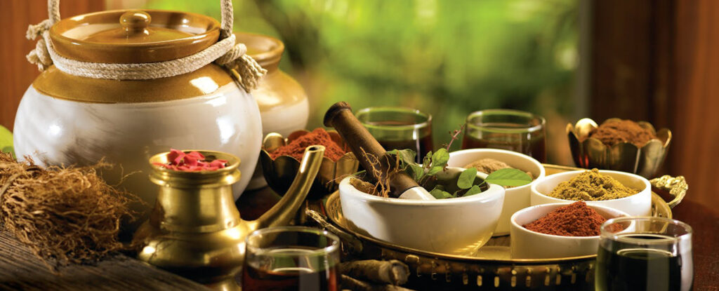 ayurveda-app-for-comprehensive-knowledge-on-all-diseases-medicines-tests-and-patents