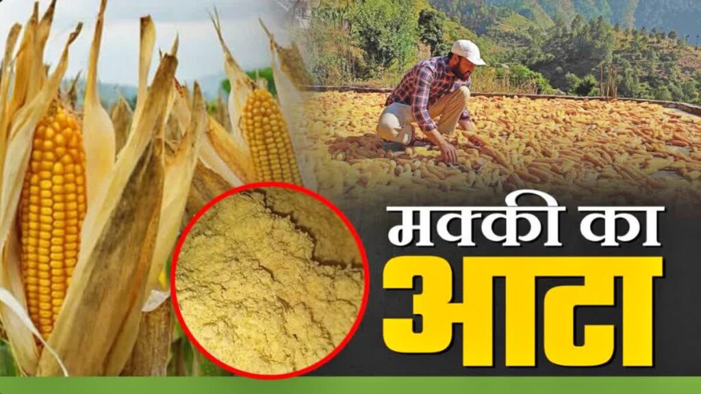 cm-sukhvinder-singh-sukhu-launch-natural-farming-maize-flour-in-himachal-depots-himachal-pradesh-news