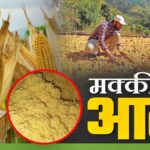 लोकसभा में संविधान दिवस पर चर्चा शुरू, राजनाथ सिंह बोले- संविधान केवल कानूनी दस्तावेज नहीं