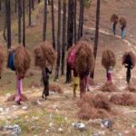 बीएसएफ भर्ती अधिसूचना 2025: हेड कांस्टेबल, हवलदार और सहायक उप निरीक्षक पदों पर आवेदन का मौका