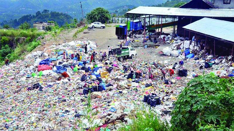 solan-municipal-corporation-clears-2000-tons-of-garbage-from-salogra-dumping-site-beautification-and-greenery-to-follow